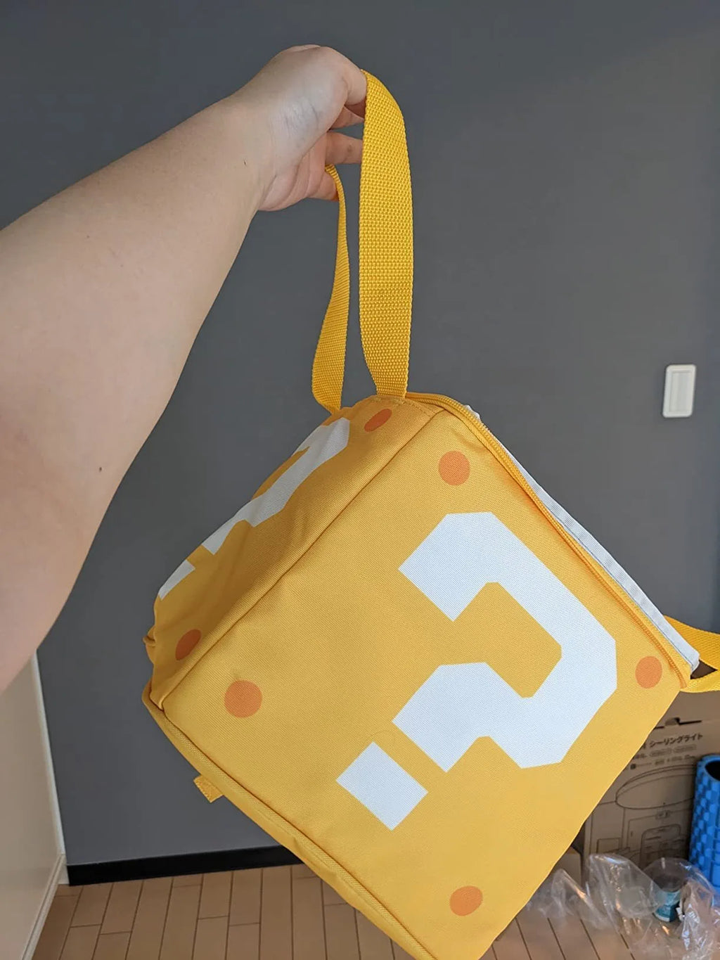 Question Mark Insulated Lunch Bag