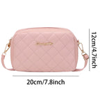 2024 Tassel Small Messenger Bag For Women Trend Lingge Embroidery Camera Female Shoulder Bag Fashion Chain Ladies Crossbody Bags
